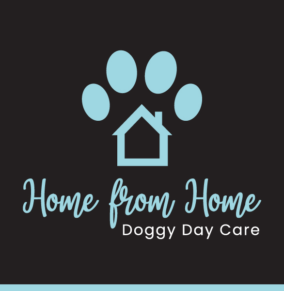 Home From Home Doggy Day Care Dog Day Care Centres